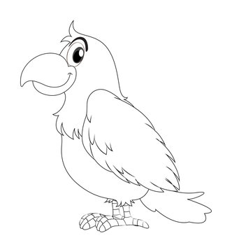 recommend clip art: Animal doodle for parrot bird