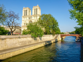 Fototapeta na wymiar River Seine and west facade of Notre-Dame de Paris