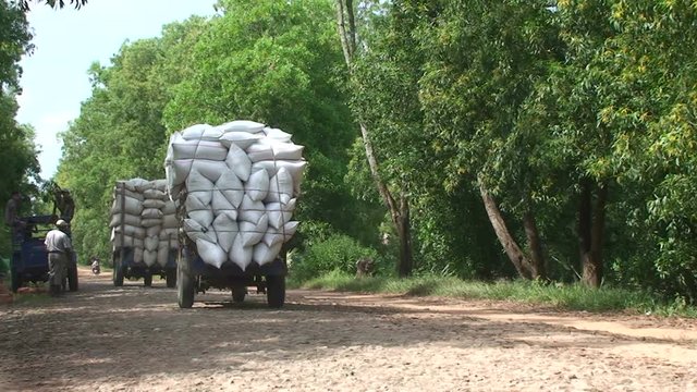 Pathein, local transport rice bags with truck