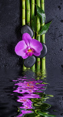 Stones, orchid flower and bamboo reflected in a water