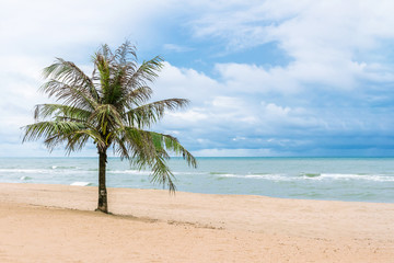 Obraz na płótnie Canvas Coconut trees on the beach