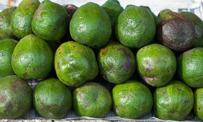 fresh Avocado selling at market