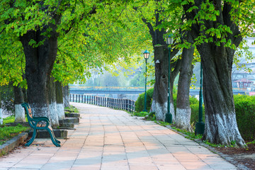 The longest in Europe linden alley