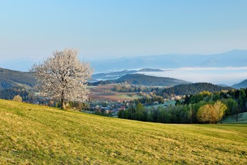 Spring meadows and fields landscape in Slovakia. Low Tatras panorama with snowy peaks. Blooming...
