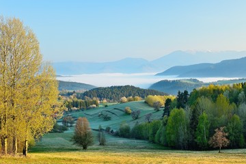 Fototapeta na wymiar Spring meadows and fields landscape in Slovakia. Low Tatras panorama with snowy peaks. Blooming cherry trees. Cloudly inversion after the rain.