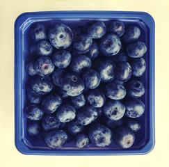 Box of blueberries