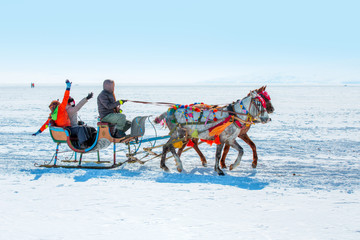 Naklejka premium Horses pulling sleigh in winter , Cildir Lake, Kars