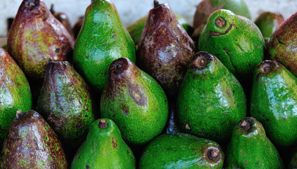 fresh Avocado selling at market