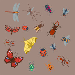Colorful insects icons isolated wildlife wing detail summer bugs wild vector illustration