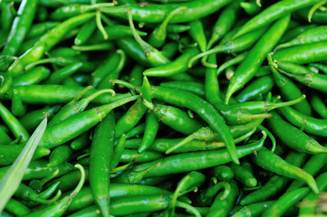 fresh green peper selling at local market