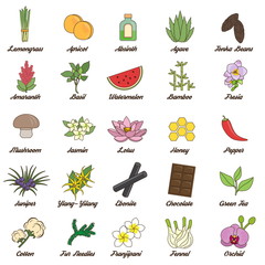 icons for aromatic plants, herbas and woods