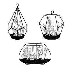 Vector set with black and white cactuses and succulents in terrariums. Illustration with home plants in scandinavian style.