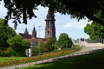 Blick vom Stadtgarten aufs Freiburger Münster