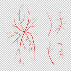 Collection of human eye veins, red blood vessels, blood system.