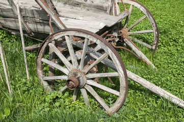 Fototapeta na wymiar Wooden wheels on old rural cart on green grass meadow