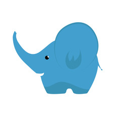 Funny baby elephant with big ears