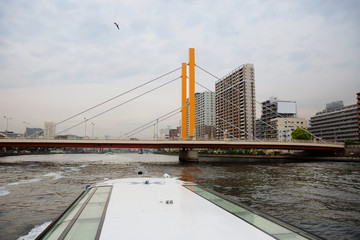 Токио. Вантовый мост через реку Сумида.