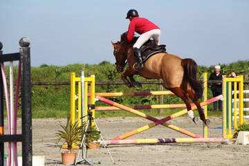 Saut d'obstacle lors d'un concours hippique