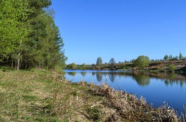 The bank of the river on a summer day. Blue sky and blue calm water. Trees are reflected in water