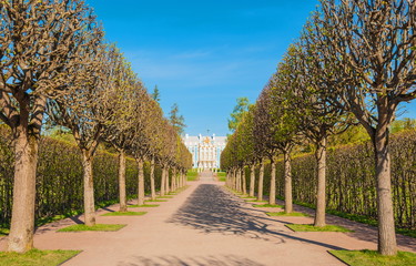 Walking along the paths of an old spring park