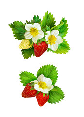 Strawberries arrangements with flowers, berries and leaves