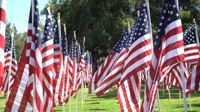 4K Video of a sunny morning view of Sea of America Flags