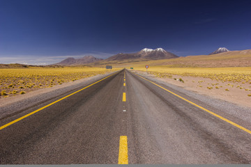 asphalt road in atacama mountains with blue sky in chile