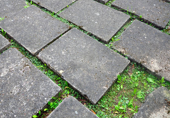 Gray concrete sidewalk pavement with sprouting green grass through the paving. Urban background, texture. Close up.