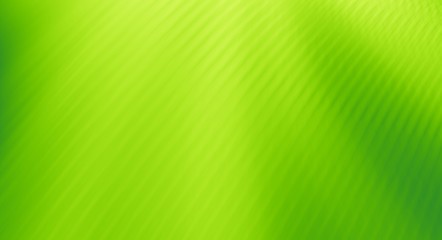 Green abstract background designs texture pattern