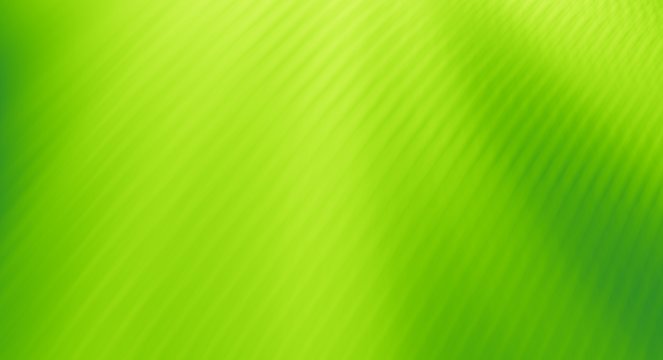 Green abstract background designs texture pattern