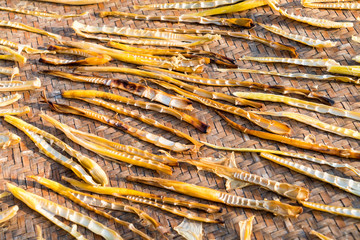 small bamboo shoots of the drying