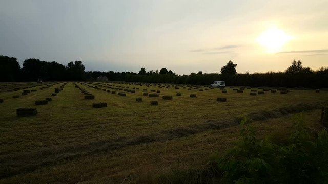 Agricultural machine makes hay bales