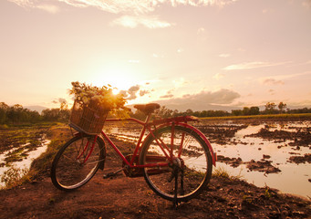 Obraz premium Beautiful landscape at sunset time with red classic bicycle