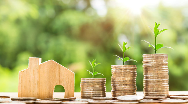 step of coins stacks with tree growing on top and wooden house model on table, nature background, money, saving and investment or family planning concept, over sun flare silhouette tone.