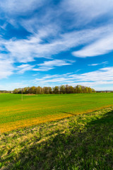 Fototapeta na wymiar Green meadow under blue sky with clouds. Nature landscape.