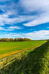 Green meadow under blue sky with clouds. Nature landscape.