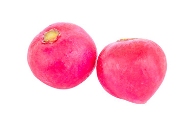 Radish isolated on white background.