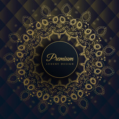 mandala decoration background in ethnic style