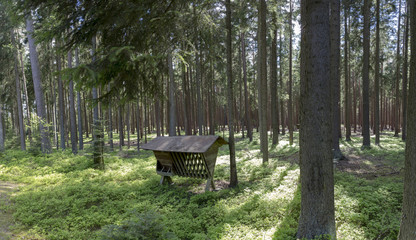 Waldviertel in Niederösterreich
