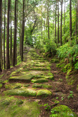 波田須の道