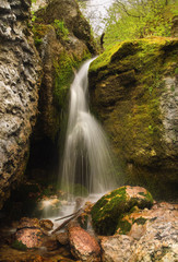 Obraz premium Beautiful small waterfall in the forest