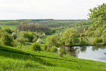 Fototapeta na wymiar Rural spring pasture landscape in Central Ukraine.