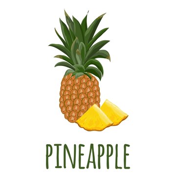 Pineapple. Flat design. Vector illustration. Ripe fruits for Your ideas.