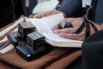 hands of a jew with tefilin are praying with a sidur - book of jewish traditional prayers at the...
