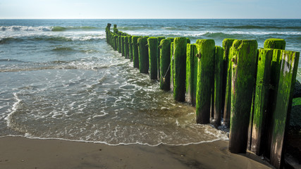 Seaweed-covered pylons jutting out into the Atlantic Ocean along the beach at Long Beach Island, New Jersey © frank1crayon