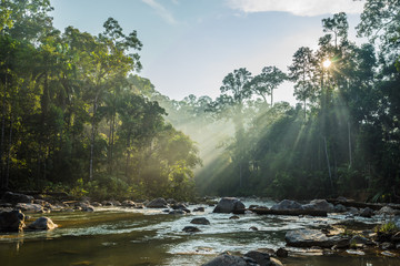 View of Endau Rompin National Park, straddling the Johor/Pahang border, is the second designated...
