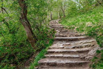 Stairway in Davedale
