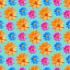 Adonis. Seamless pattern texture of flowers. Floral background,