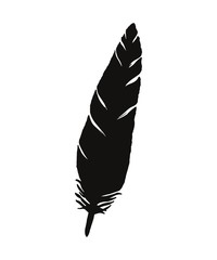 Feather bird silhouette illustration