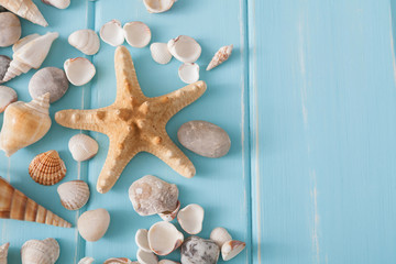 Seashells on blue wood, sea vacation background